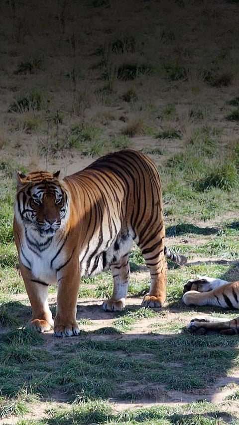 10 Best lesser-known Animal Sanctuaries in America