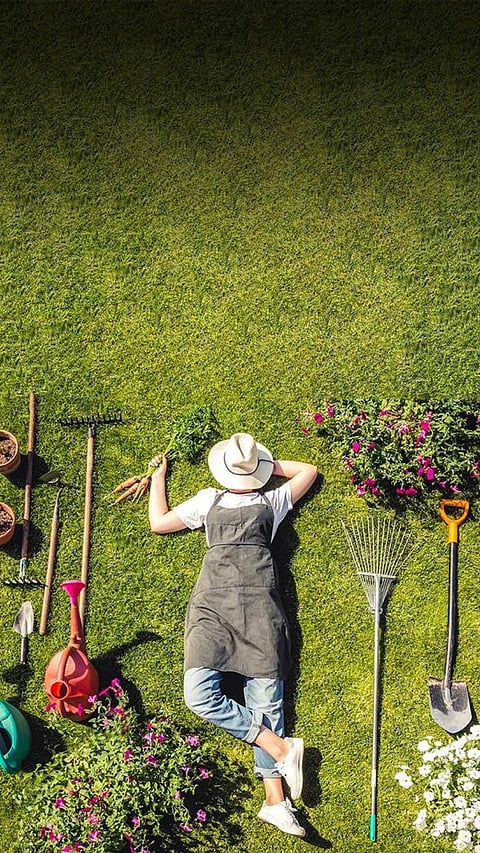 9 Green Hobbies for a Sustainable Lifestyle