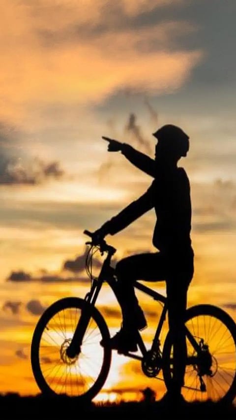 7 reasons why daily cycling is important