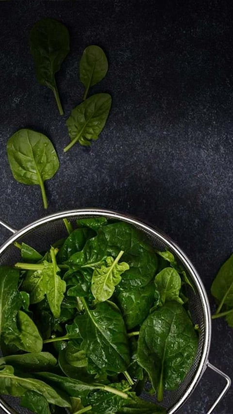 8 most unique recipes of palak one must try