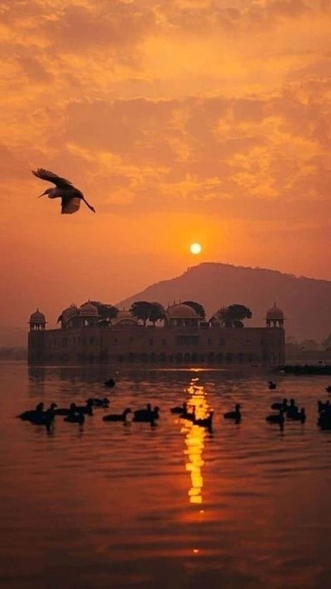 Affordable Excellence: 10 Colleges in Jaipur Known for Job-Oriented Courses