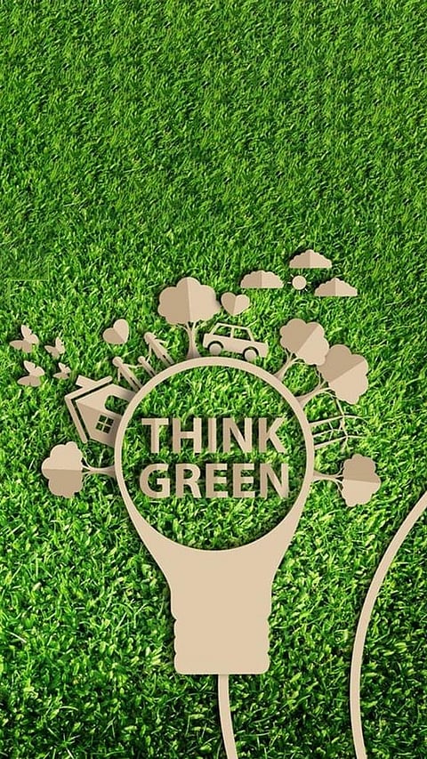 Top U.S. Colleges for Environmental Science and Sustainability