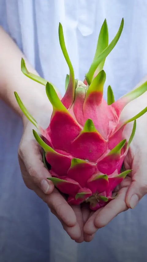 8 Side Effects of Eating Dragon Fruit