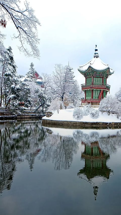 Seoul Turns 'Winter Wonderland' After Being Hit By Biggest Snowstorm