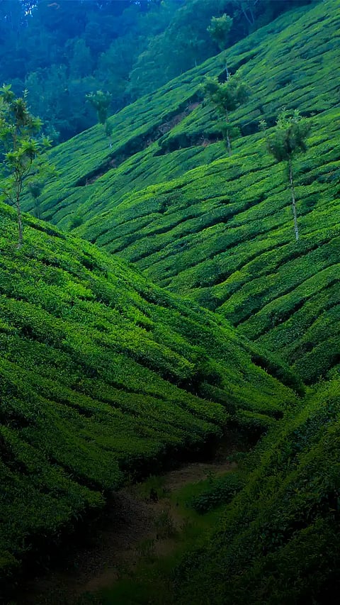 7 places in India which feels like foreign countries