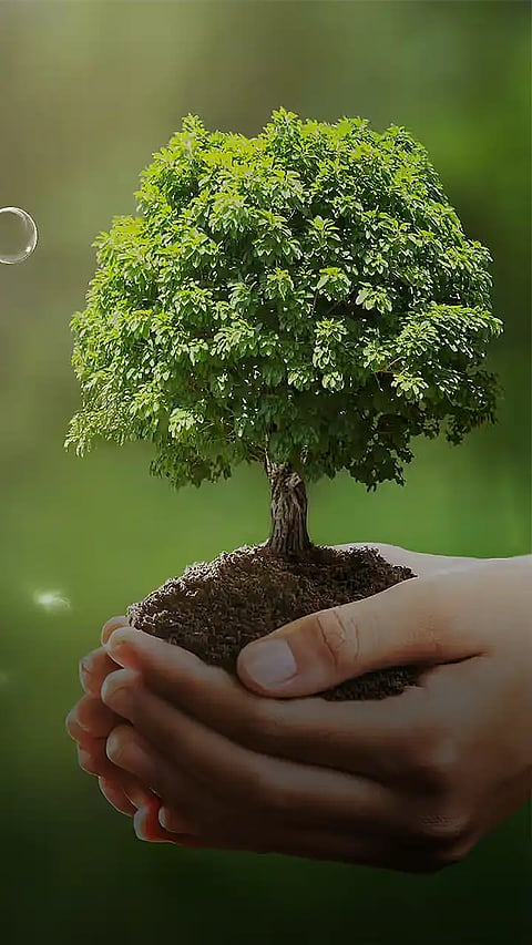 5 Simple Lifestyle Changes for a Greener Planet