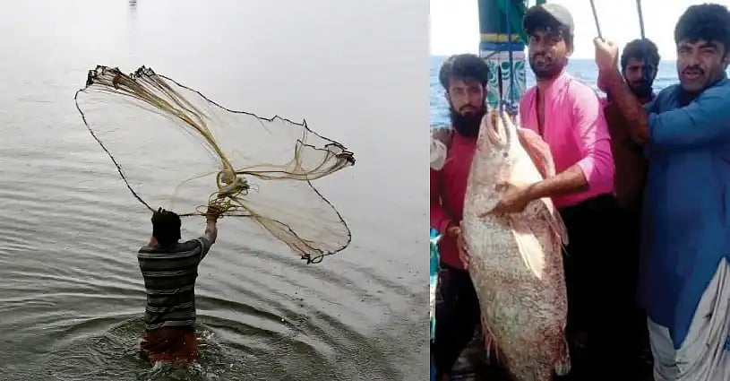 Who is Haji Baloch? Pakistani fisherman turns millionaire overnight ...