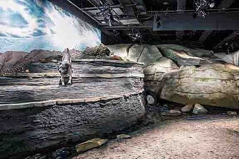 Prepare to be Awestruck: Popular Ice Age Gallery Returns to Cincinnati Museum Center