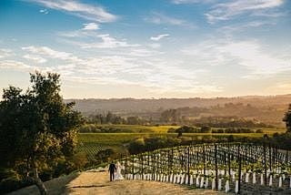 A Picturesque Wine Country Wedding