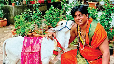 Rajagopal Adi with Punganuru Cow