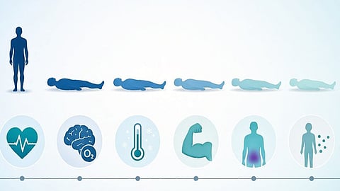 Death Timeline