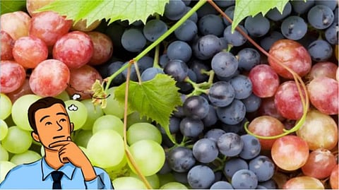 Black Grapes vs. Green Grapes