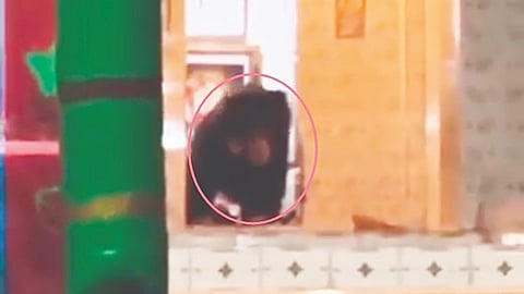 ಗುಂಡ್ಲುಪೇಟೆ ತಾಲೂಕಿನ ಮಂಚಹಳ್ಳಿ ಗ್ರಾಮದ ಮಂಗಳಾದೇವಿ ದೇವಾಲಯದ ಆವರಣದಲ್ಲಿ ಕರಡಿ ಓಡಾಡುತ್ತಿರುವುದು.  