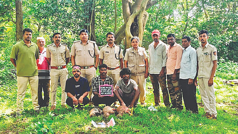 ತರೀಕೆರೆಯ ಸಾವೇಮರಡಿ ಕಾವಲ್‌ನಲ್ಲಿ ಮುಳ್ಳುಹಂದಿ ಬೇಟೆಯಾಡಿ ಸಿಕ್ಕಿ ಬಿದ್ದಿರುವ ಬೇಟೆಗಾರರು. 