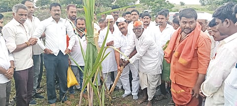 ಆಳಂದ ತಾಲೂಕಿನ ಜಿರೋಳೆಯಲ್ಲಿ ಸೇತುವೆ, ಸಮುದಾಯ ಭವನ ನಿರ್ಮಾಣಕ್ಕೆ ಕಲಬುರಗಿ, ಬೀದರ್​, ಯಾದಗಿರಿ ಹಾಲು ಉತ್ಪಾದಕರ ಒಕ್ಕೂಟದ ಅಧ್ಯಕ್ಷ ಆರ್​.ಕೆ.ಪಾಟೀಲ್​ ಮಂಗಳವಾರ ಭೂಮಿಪೂಜೆ ನೆರವೇರಿಸಿದರು. ಓಂಕಾರ್​ ಒಡೆಯರ್​, ಪೀರದೋಷ್​ ಅನ್ಸಾರಿ, ದತ್ತು ಪೂಜಾರಿ ಇತರರಿದ್ದರು.
