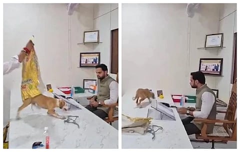 Frustrated by dog menace, Yuva Sena workers release strays on Nashik official's table