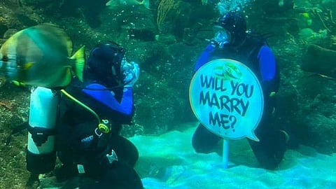 Lover asks "Will you marry me?" underwater.