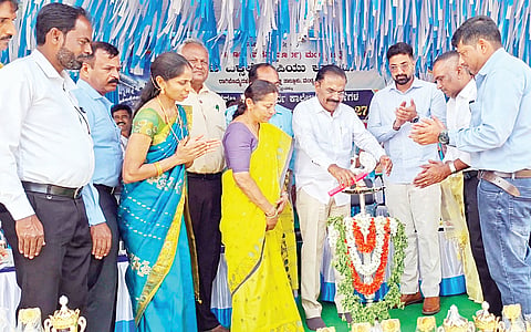 ಮಳವಳ್ಳಿ 