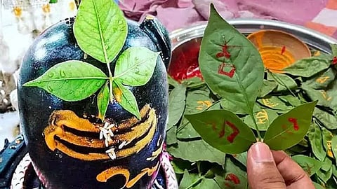 Bilva Patra