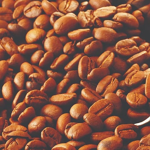 ಸ್ತಬ್ಧಚಿತ್ರಗಳ ಪ್ರದರ್ಶನ 
