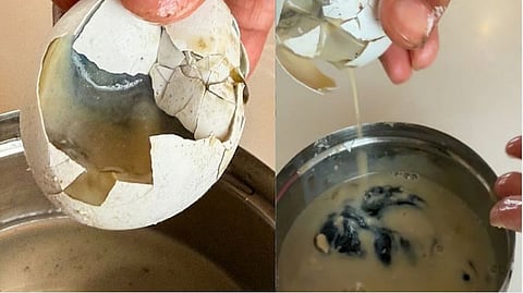 Swiggy Instamart Rotten Eggs
