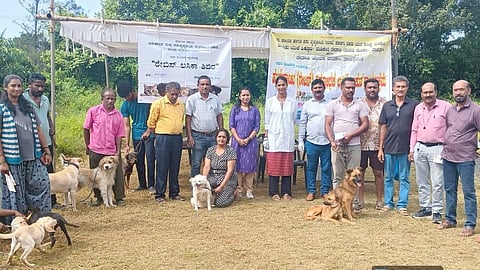 99 ಶ್ವಾನ, 11 ಬೆಕ್ಕುಗಳಿಗೆ ರೇಬಿಸ್ ಲಸಿಕೆ