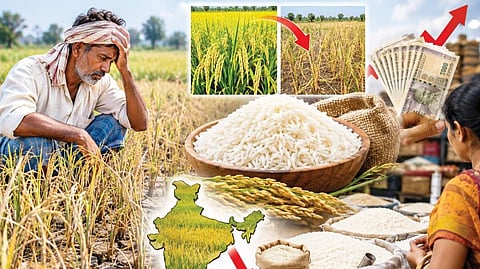 ಅಯ್ಯೋ ಅಕ್ಕಿಯೂ ದುಬಾರಿ! : 10 ವರ್ಷಗಳಲ್ಲಿ ಮೊದಲ ಬಾರಿಗೆ ಇಳಿಕೆಯಾದ ಭತ್ತ ಇಳುವರಿ