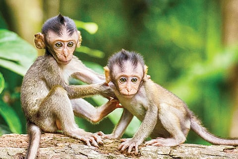 ಸಾಂದರ್ಭಿಕ ಚಿತ್ರ.