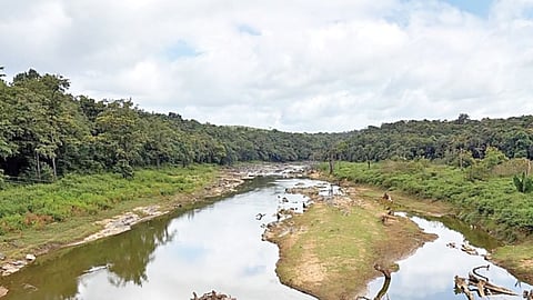 ವಿಕಾಸವಲ್ಲ ವಿನಾಶ!