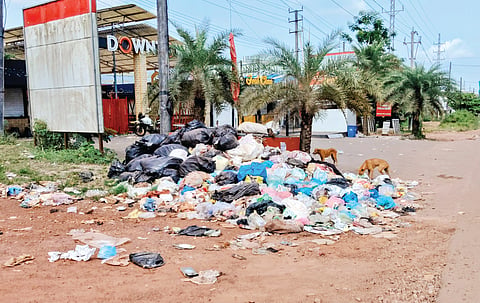  ನಾಟೆಕಲ್ ಸಮೀಪ ರಸ್ತೆ ಬದಿ ಸೃಷ್ಟಿಯಾಗಿರುವ ತ್ಯಾಜ್ಯ ಗುಡ್ಡ