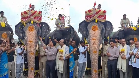 Mysuru Dasara 