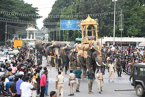 
ಮೈಸೂರು ನಗರದಲ್ಲಿ ಮಂಗಳವಾರ ಸುಗ್ರೀವ ಆನೆ ಮರದ ಅಂಬಾರಿಯ ತಾಲೀಮು ನಡೆಸಿತು.