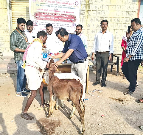 ಶಹಾಪುರ ತಾಲೂಕಿನ ಸಗರದಲ್ಲಿ ಮಂಗಳವಾರ ಜಾನುವಾರಗಳ ಆರೋಗ್ಯ ತಪಾಸಣೆ ಶಿಬಿರ ನಡೆಯಿತು. ಮುಖ್ಯ ಪಶುವೈದ್ಯಾಧಿಕಾರಿ  ಡಾ.ಅಣ್ಣಾರಾವ ಪಾಟೀಲ್​, ಡಾ.ಅಂಬರೀಶ ಬಿರಾದಾರ, ಡಾ.ರಾಜು ರಾಠೋಡ, ಶಂಕರ ಚವ್ಹಾಣ್​, ಮೋಸಿನ್​ ಅನ್ಸಾರಿ, ರವಿಕುಮಾರ, ಗೋವಿಂದ, ಅಂಬರೀಷ ಇತರರಿದ್ದರು.