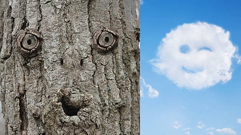 Pareidolia