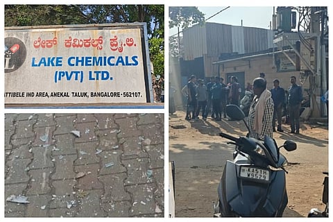 ಲೇಕ್​ ಕಂಪನಿ