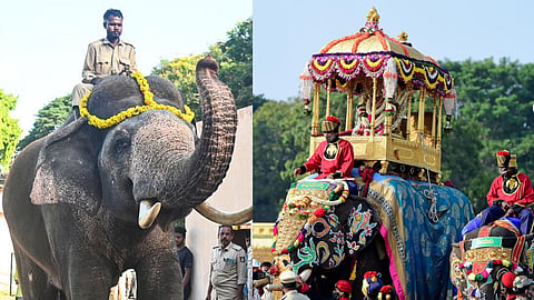 Mysuru Dasara  
