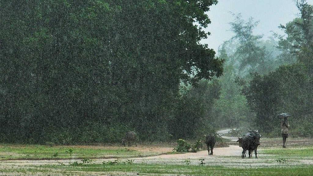 ರಾಜ್ಯದಲ್ಲಿ ಮುಂಗಾರು ನಿರ್ಗಮನ: ಹಿಂಗಾರು ಆಗಮನ- Arrival of the Northeast Monsoon