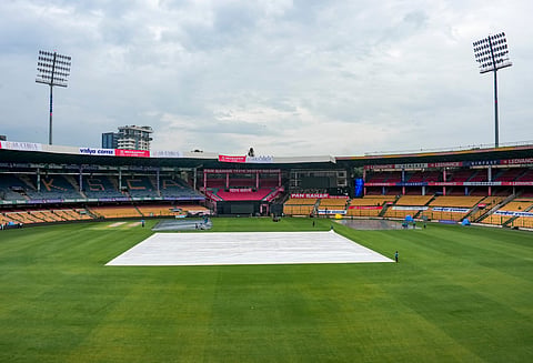 cricket