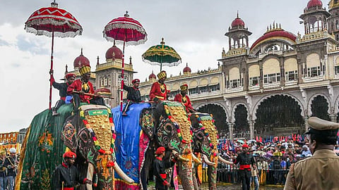 mysuru dasara 