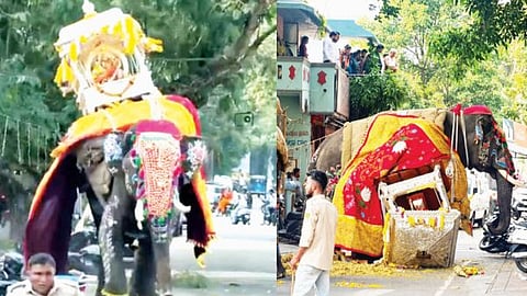 ನಾಡಹಬ್ಬ ಜಿಲ್ಲೆಗೊಂದು ಯಾಕೆ..? ಮೈಸೂರು ಮಾದರಿ ಆಚರಣೆ ನೆಪದಲ್ಲಿ ಎಡವಟ್ಟುಗಳ ಸರಮಾಲೆ!
