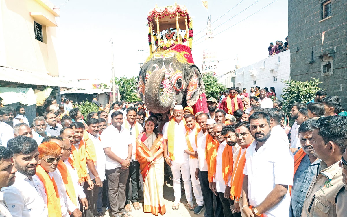 ಬೇಲೂರಿನಲ್ಲಿ ಅಂಬಾರಿ ಮೆರವಣಿಗೆ ವೈಭವ