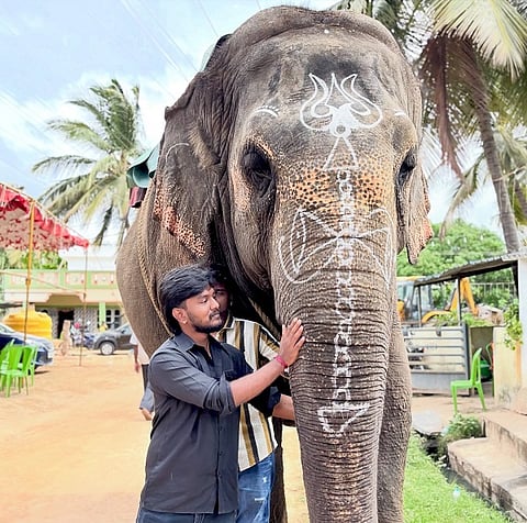 Lakshmi Elephant