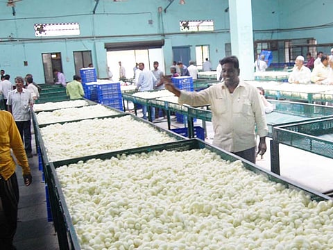 1-klr-7 Sericulture