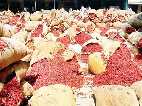 Byadgi Chilli 1