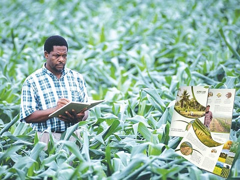 agriculture