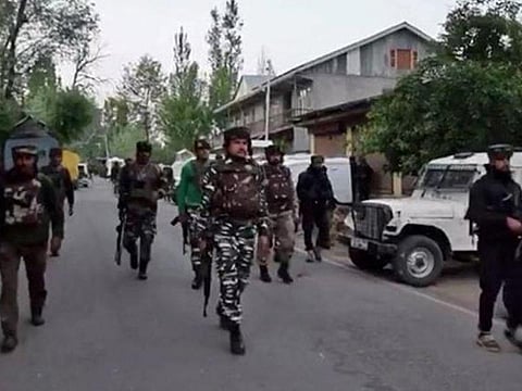 terrorists dead