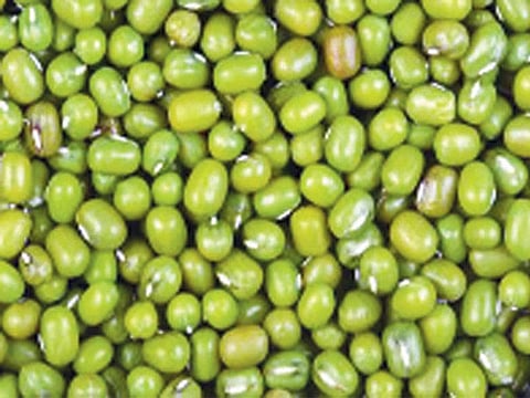Sa_green_gram-228x228