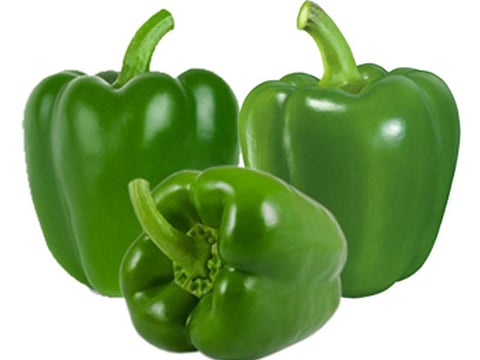 capsicum