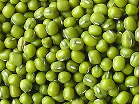 greengram