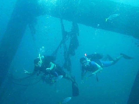 scuba dive new